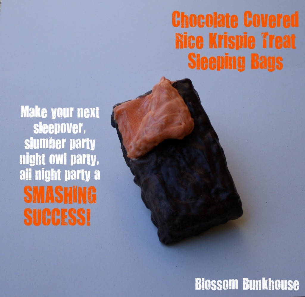 Chocolate Covered Rice Krispie Treat Sleeping Bags