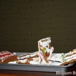 December 2011 038-2