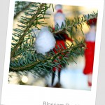 December 2011 153-3