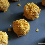 Fried Ice Cream Bites