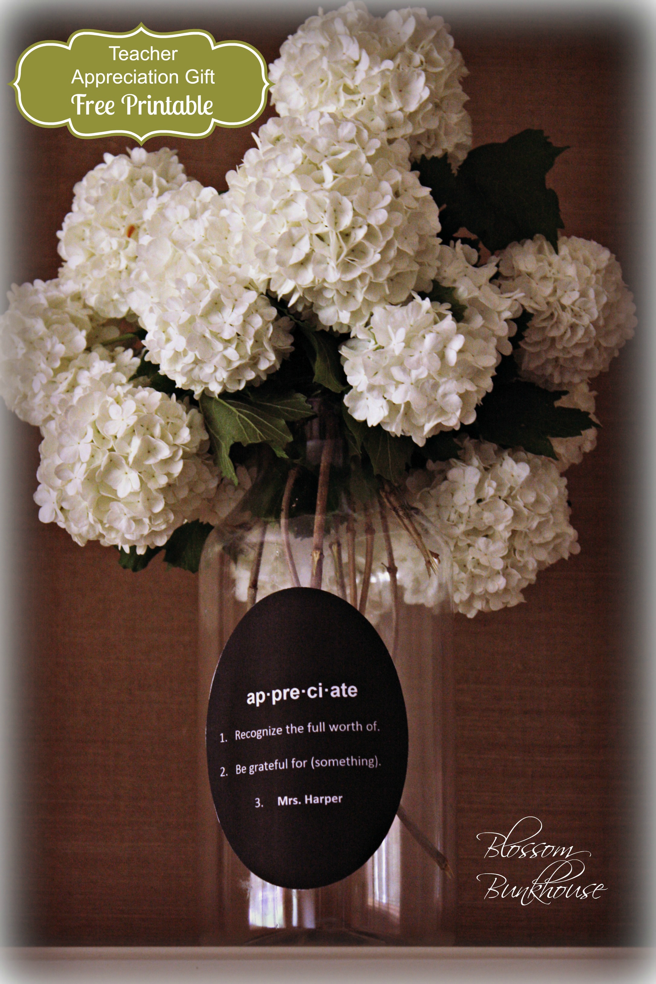 Teacher Gift